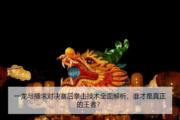 一龙与播求对决赛后拳击技术全面解析，谁才是真正的王者？